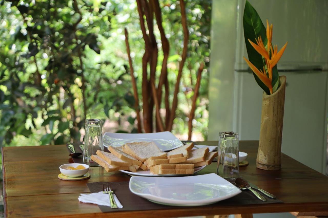 Cinnamon Paradise Nest Room Ahangama Kültér fotó